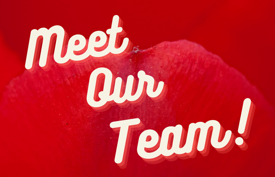 Image of a red background with the words, "Meet out team," across the page.